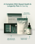 Personalized Health & Longevity Essentials