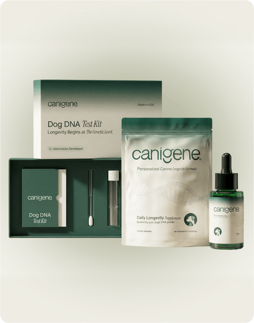 Personalized Longevity Essentials